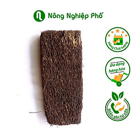 Mua Dớn bảng trồng lan 60cm x 20cm