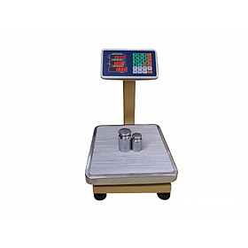 Mua Cân Điện Tử Tính Giá Tiền Hàng 60kg/5g Chính Xác Cao  Cân Điện Tử Cân Hàng Chuyên Dụng