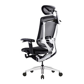 Mua Ghế Công Thái Học Ergonomic Marrit Đen - Bản 5D (Có móc áo)