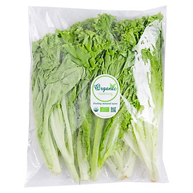 Xà Lách Xanh Hữu Cơ Food King Túi 250g