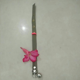 Vòng cổ chó
