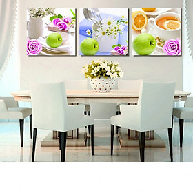 Tranh Canvas treo tường nghệ thuật | Tranh bộ nghệ thuật 3 bức | HLB_166
