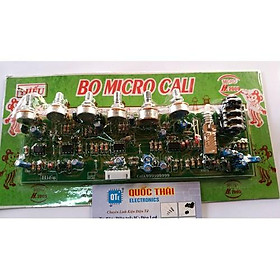 Mua Board khuếch đại micro 4ic