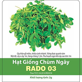 Mua Hạt Giống Chùm Ngây Rạng Đông Gói 2 Gram