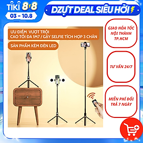 Tripod mini - Gậy chụp ảnh - gậy tự sướng bluetooth không dây BT11 Selfie