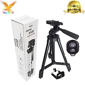 Mua Gậy 3 chân chụp hình máy ảnh  điện thoại Tripod TF - 3120 loại tốt