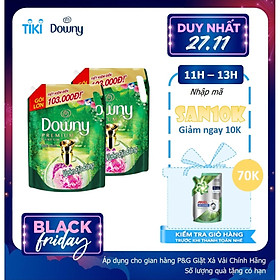 Combo 2 Nước Xả Vải Downy Vườn Địa Đàng Dạng Túi 2.1L