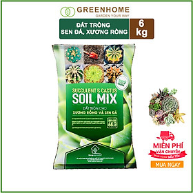Soil Mix Đất trồng Sen đá, Xương rồng 6kg