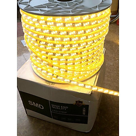 CUỘN LED 100m 5730 3 BÓNG