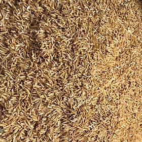 Mua 1kg vỏ trấu khô giá thể ươm cây  trồng cây