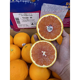 CAM CARA RUỘT ĐỎ ( 1KG )