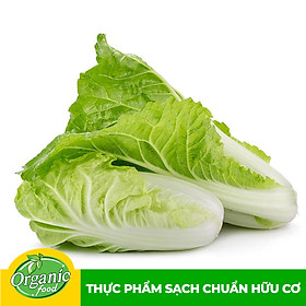 Cải Thảo Hữu Cơ Organicfood - 300g