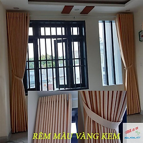 Mua Rèm cửa chống nắng 96% đơn sắc họa tiết 3d cao cấp