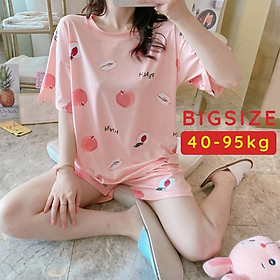 Bộ ngủ nữ bigsize thun mát dồ bộ BC10