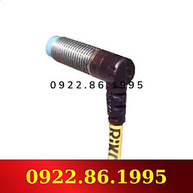 Cảm biến tiệm cận Riko PSD1202-C mới