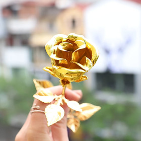 Mua Bông hoa hồng mạ vàng độc đáo
