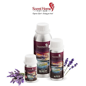 Tinh dầu Scent Homes - mùi hương (Lavender Classic)