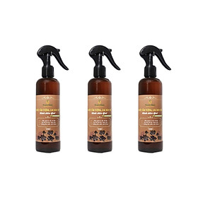 LBT1 Combo 3 nước tắm tượng, lau bàn thờ Tinh dầu Quế Peace Mass 250ml