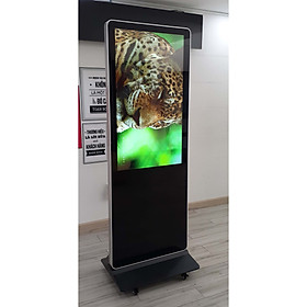 Màn hình quảng cáo chân đứng 43 inch