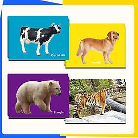 Thẻ Flash Card Thông Minh Bé Nhận Biết Thế Giới Động Vật -  Kích thước 11 x 16 cm, In 2 Mặt Dành Cho Bé Từ 3 - 6 Tuổi (30 Thẻ)