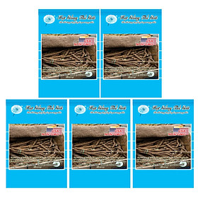 Bộ 5 Gói Hạt Giống Ngưu Bàng - Chiko (Arctium lappa) 10h
