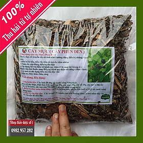 Cây mực khô - Cty Thảo dược số 1