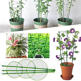  Giá đỡ hoa hồng, cây leo, cà chua KT cao 75cm, DK vòng 27-22 cm