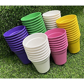 Sen đá mini 4-7cm siêu khỏe đã thuần khí hậu lỗi 1 đổi 1