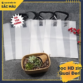 Mua 1 Kg Túi HD ZIN QUAI ÉP - HD Zin mờ màu trắng quai màu đỏ  xanh  hồng  đen đựng quần áo  mỹ phẩm  nước hoa...FULL SIZE
