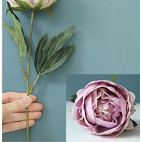 Cành hoa mẫu đơn búp lụa cao 47cm trang trí không gian sang trọng nhẹ nhàng, hoa thiết kế, hoa cô dâu