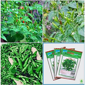 Mua Hạt giống ớt thóc (ớt xiêm rừng) - 1 gói 30 hạt