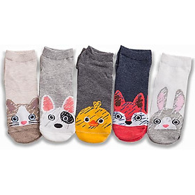 Combo 5 đôi tất vớ cổ ngắn hình thú mix màu dễ thương V11