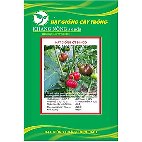 Mua Hạt giống ớt bí ngô PUMPKIN F1 KNS3365 - Gói 5 hạt