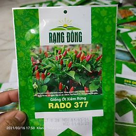 Mua Hạt Giống Ớt Xiêm Ớt Hiểm Rừng Rạng Đông