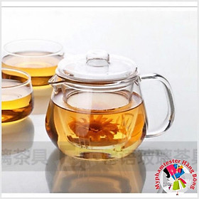 Ca rót bầu có lõi lọc thuỷ tinh 600ml