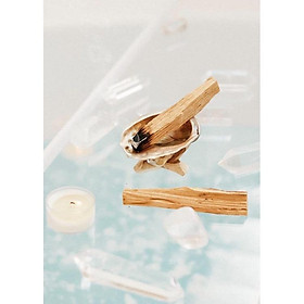 Mua Các loại hương nhang gỗ Palo santo - Hương gỗ trắc xanh - Hương white sage
