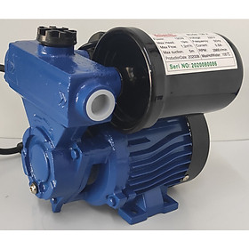 Mua Máy bơm nước gia đình tăng áp tự động Belardi 120 A { 120 W )