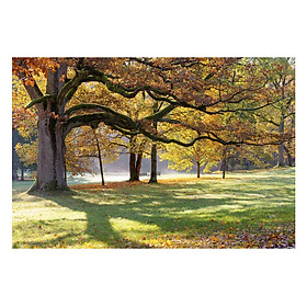 Mua Tranh Dán Tường Phong Cảnh 3D LN0134 - 150 x 100 cm
