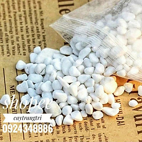 Mua 1 Kg Sỏi Trắng Dải Chậu 3 cỡ To - Nhỡ - Nhỏ