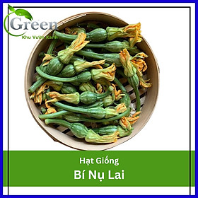 Hạt Giống Bí Nụ Lai F1