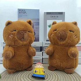 Thú nhồi bông capybara nhiều mẫu mini - Size 20 đến 22cm - Quà tặng chuột lang dễ thương êm mịn cho bé