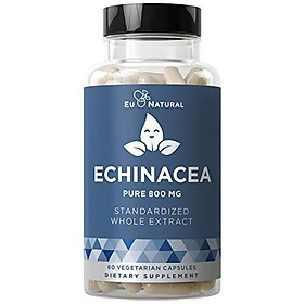 Armor 1 ECHINACEA Pure 800 MG – Healthy Immunity Function, Physical Wellness, Potent Strength for Seasonal Protection – Full-Spectrum & Standardized – 60 Vegetarian Soft Capsules