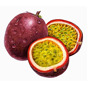 Bộ 1 gói Hạt giống chanh leo