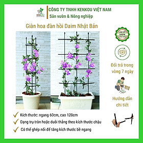 Giàn hoa leo đàn hồi Hàng Chính Hãng DAIM Nhật Bản Combo 2 bộ W60cm x H120cm Lõi thép bọc nhựa làm giàn cây leo