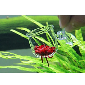 2x Glass Feeding Cup Fish Feeder Shrimp Red Worms Food For Aquarium Seam