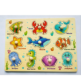 Set 5 bảng ghép hình có núm _ đồ chơi giáo dục MK02