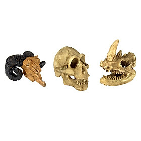 3xReptile Terrarium Decoration Resin Skull Model Hide Cave Aquarium Ornament