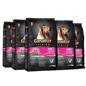 Combo 5 thức ăn cho chó trưởng thành Ganador vị cá hồi & gạo Salmon & Rice 400 gram