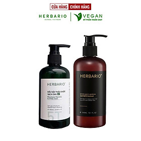 Combo Dầu gội thảo dược sạch gàu 5T Herbario 250ml + Dầu xả vỏ bưởi bồ kết Herbario 300ml