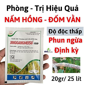 Mua Đặc Trị Nấm Hồng JINGGANGMEISU 10WP NICOTEX – 20gr - Đặc Trị Bệnh Khô Vằn Và Bệnh Nấm Hồng Cho Cây Cao Su - Hoa Mai